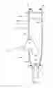Fig. 02 - ROTATABLE HORSE LIFTING AND SUPPORTING DEVICE