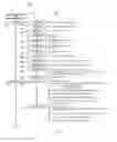 Fig. 08 - Aquaculture Pump System and Method