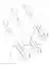 Fig. 02 - Bowfishing arrow