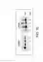 Fig. 14 - Platelet additive solution having a β-galactosidase inhibitor