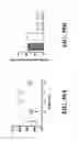 Fig. 46 - Platelet additive solution having a β-galactosidase inhibitor