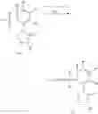 Fig. 22 - Tetrazolinone compound and use thereof
