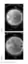 Fig. 03 - METHOD FOR USING A BACILLUS SUBTILIS OR BACILLUS PUMILUS STRAIN TO TREAT OR PREVENT PINEAPPLE DISEASE