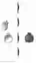 Fig. 09 - Device to Prepare Turnovers