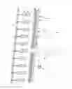 Fig. 03 - Processing line and method for inspecting a poultry carcass and/or a viscera package taken out from the poultry carcass