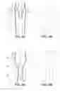 Fig. 05 - LIFTING RESILIENT GARMENT AND METHOD FOR ADJUSTING THE SAME