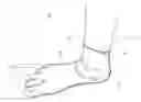 Fig. 01 - FOOT GLOVE