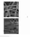Fig. 08 - Protective masks with coating comprising different electrospun fibers interweaved with each other, formulations forming the same, and method of producing thereof