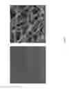 Fig. 09 - Protective masks with coating comprising different electrospun fibers interweaved with each other, formulations forming the same, and method of producing thereof