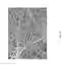 Fig. 11 - Protective masks with coating comprising different electrospun fibers interweaved with each other, formulations forming the same, and method of producing thereof