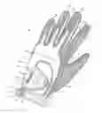 Fig. 01 - Glove for conforming to hands of various sizes