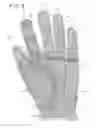 Fig. 04 - Glove for conforming to hands of various sizes