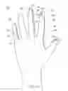 Fig. 02 - METHOD OF MAKING POLYMERIC GLOVES HAVING EMBEDDED SURGICAL SUPPORT SYSTEMS AND DISCRETE ELEMENTS