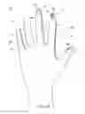 Fig. 03 - METHOD OF MAKING POLYMERIC GLOVES HAVING EMBEDDED SURGICAL SUPPORT SYSTEMS AND DISCRETE ELEMENTS
