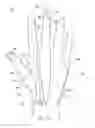 Fig. 05 - METHOD OF MAKING POLYMERIC GLOVES HAVING EMBEDDED SURGICAL SUPPORT SYSTEMS AND DISCRETE ELEMENTS