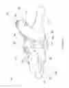 Fig. 09 - METHOD OF MAKING POLYMERIC GLOVES HAVING EMBEDDED SURGICAL SUPPORT SYSTEMS AND DISCRETE ELEMENTS