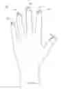 Fig. 16 - METHOD OF MAKING POLYMERIC GLOVES HAVING EMBEDDED SURGICAL SUPPORT SYSTEMS AND DISCRETE ELEMENTS
