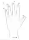Fig. 17 - METHOD OF MAKING POLYMERIC GLOVES HAVING EMBEDDED SURGICAL SUPPORT SYSTEMS AND DISCRETE ELEMENTS
