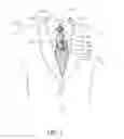 Fig. 02 - NECKTIE ACCESSORIES