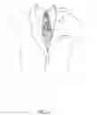 Fig. 07 - NECKTIE ACCESSORIES
