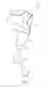 Fig. 08 - NECKTIE ACCESSORIES