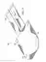 Fig. 06 - APPARATUS FOR RETAINING AND STORING A PACIFIER