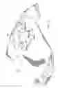 Fig. 11 - APPARATUS FOR RETAINING AND STORING A PACIFIER