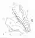 Fig. 02 - LIGHT EMITTING FOOTWEAR