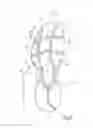 Fig. 05 - SPORT SHOE