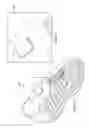 Fig. 05 - Dynamically Controlling Air-Chamber Footwear