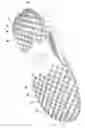 Fig. 01 - TREAD PATTERN COMBINATION FOR NON-SLIP SHOES