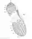 Fig. 02 - TREAD PATTERN COMBINATION FOR NON-SLIP SHOES