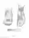 Fig. 02 - Shoes