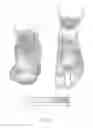 Fig. 04 - Shoes