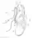 Fig. 12 - Shoes