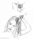 Fig. 01 - Hair care device