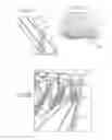 Fig. 10 - Product management display system with trackless pusher mechanism