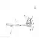 Fig. 03 - All in the head surface cleaning apparatus