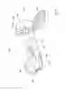 Fig. 51 - All in the head surface cleaning apparatus