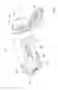 Fig. 51 - All in the head surface cleaning apparatus