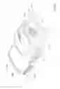 Fig. 21 - All in the head surface cleaning apparatus