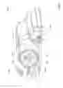 Fig. 64 - All in the head surface cleaning apparatus