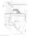 Fig. 05 - Footwear cleaning device