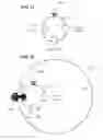 Fig. 26 - ENDOSCOPE WITH SHARED WORKING CHANNEL