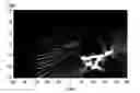 Fig. 01 - Photoacoustic information acquiring apparatus and processing method