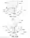 Fig. 13 - Photoacoustic information acquiring apparatus and processing method