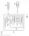 Fig. 03 - Real-time morphology analysis for lesion assessment