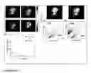 Fig. 13 - SYSTEMS AND METHODS FOR IMAGING CHANGES IN TISSUE