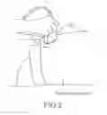 Fig. 03 - Presenting a graphical representation of an ultrasound scanning volume