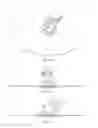 Fig. 68 - Closure apparatus with flexible sealable member and flexible support member